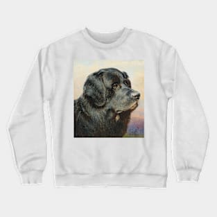 A Newfoundland Dog by Carl Reichert Crewneck Sweatshirt